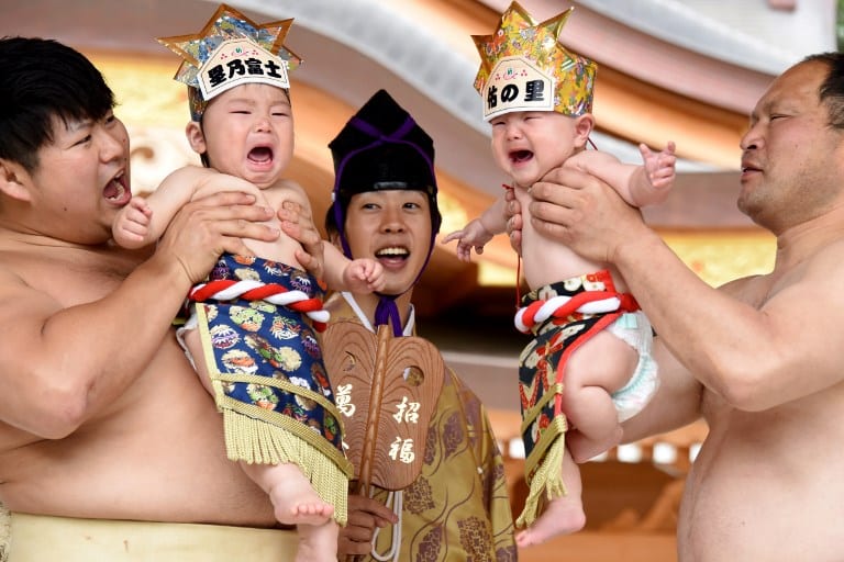 Luchadores de sumo con bebés. Pulzo.com Luchadores de sumo con bebés. Pulzo.com