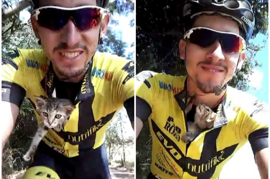 Ciclista recoge a gato abandonado.
