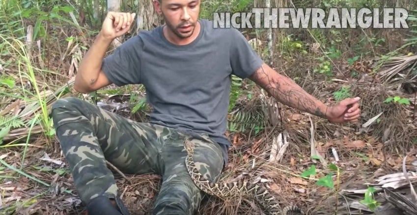 Youtuber Nick The Wrangler con una serpiente cascabel sobre su pierna. Pulzo.com