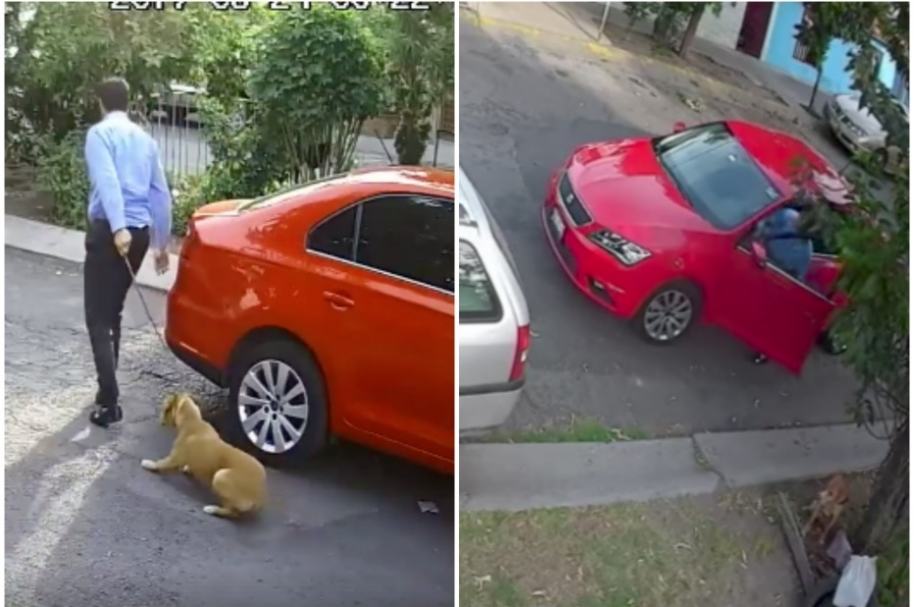 Hombre abandona perro.