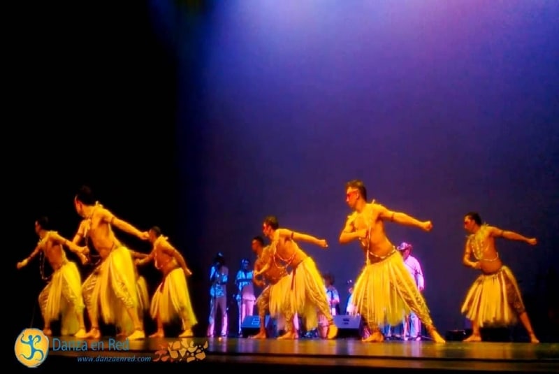 Danza en red
