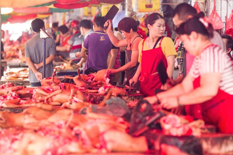 Festival de carne de perro