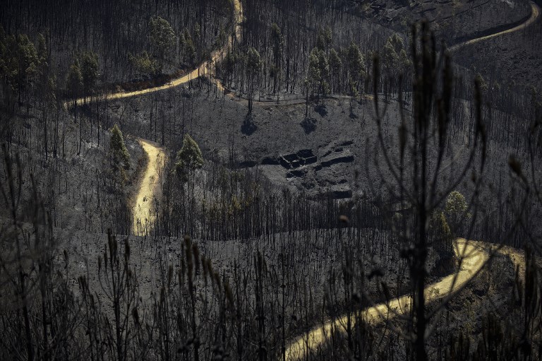 Incendio forestal en Portugal. Pulzo.com