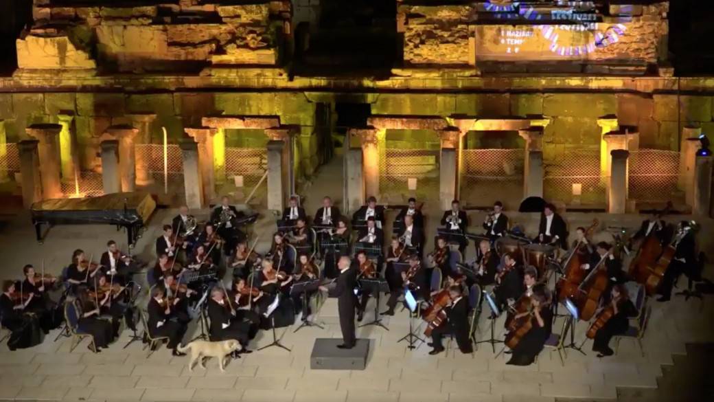 Perro callejero en concierto de música clásica. Pulzo.com