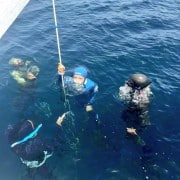 Sofía Gómez inmersión de entrenamiento a 81m de profundidad.