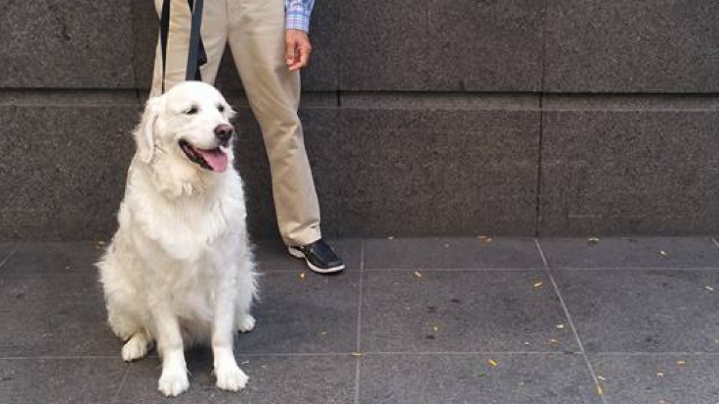 Mark Freeley y su perro Storm