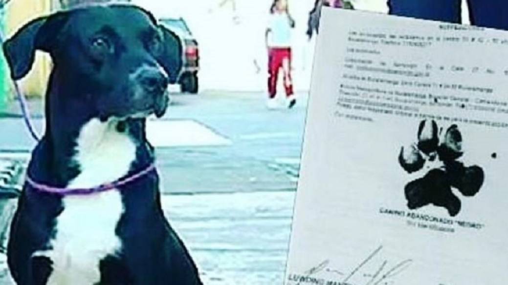 'Negro', el perro que firmó la tutela con la huella de su pata