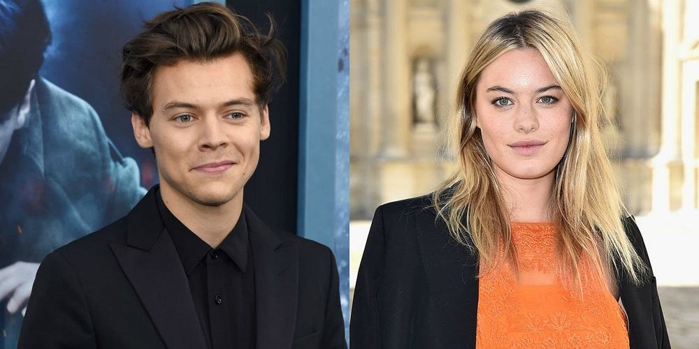 Harry Styles y Camille Rowe
