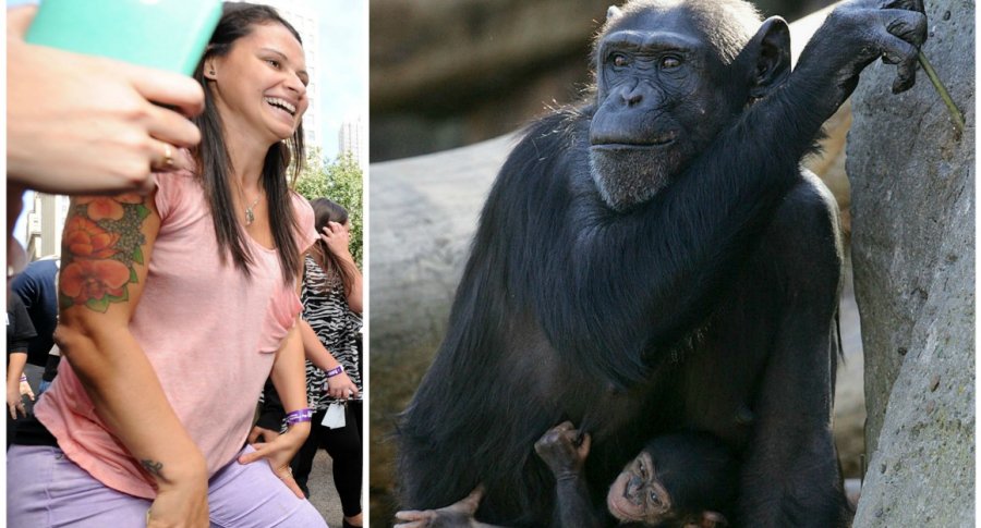 Mujer haciendo 'twerking' y chimpancés. Pulzo.