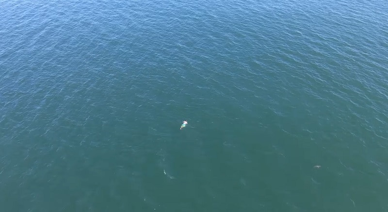 Delincuente huyendo en el océano