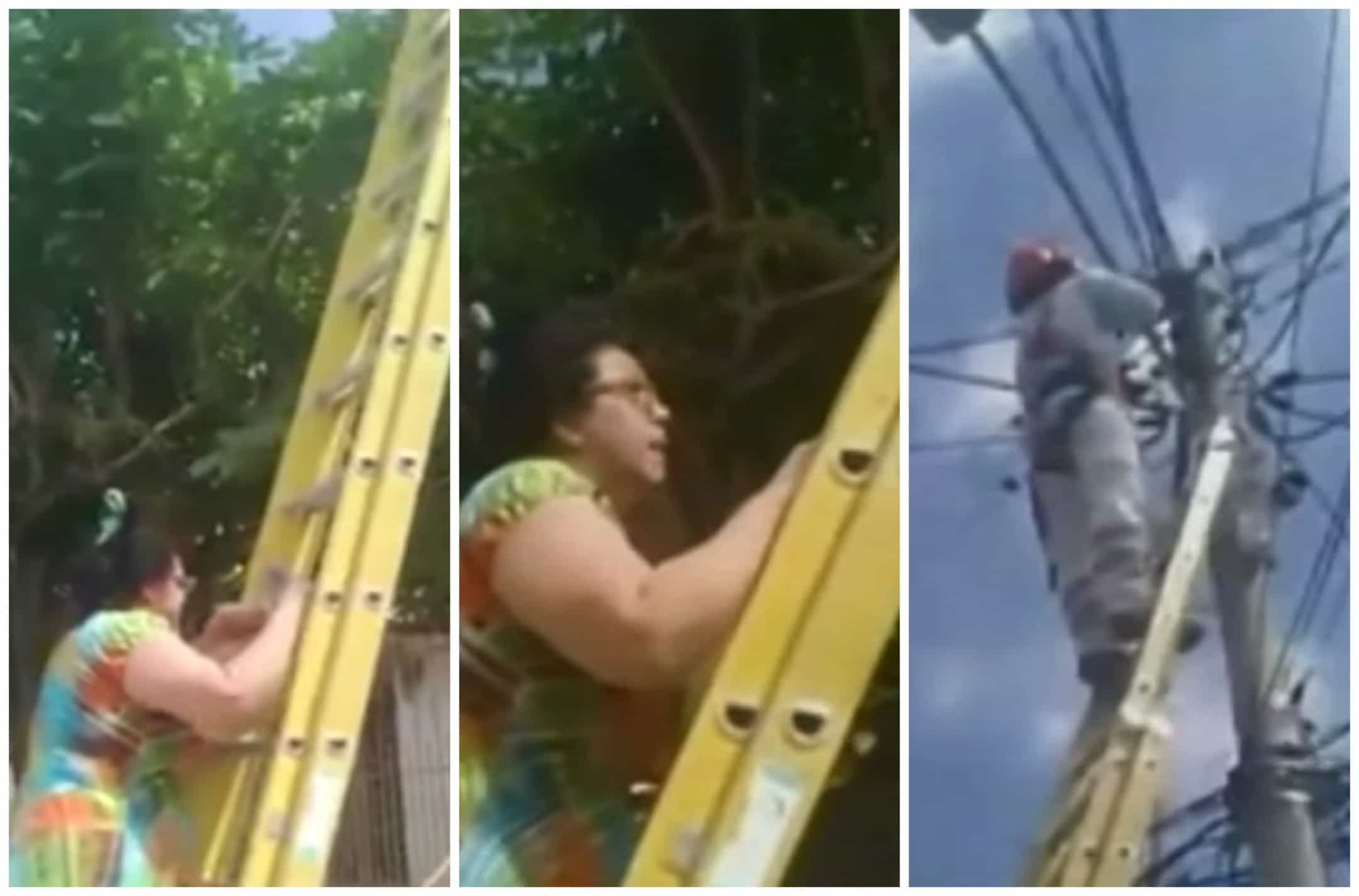 Mujer le mueve escalera a operario que le iba a cortar la luz. Pulzo.