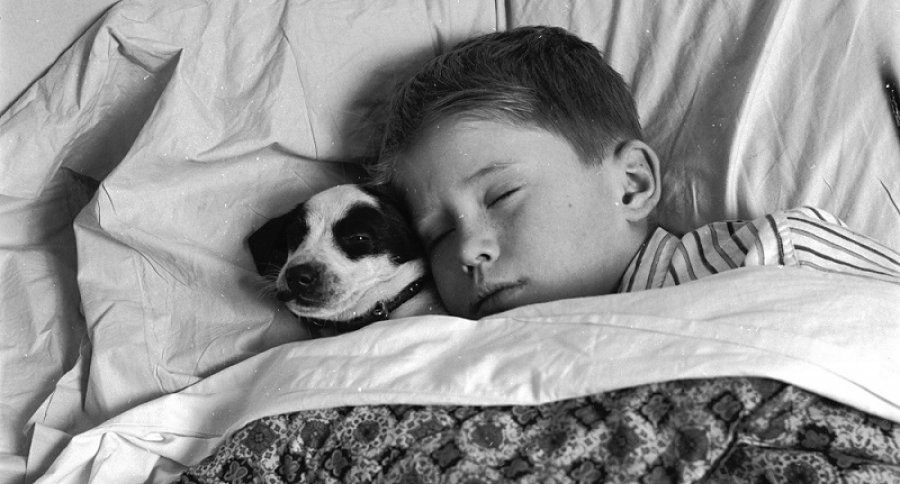 Por qué es bueno dormir con mascotas