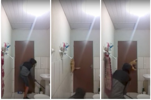 Joven y gato asustados por ratón en un baño. Pulzo.