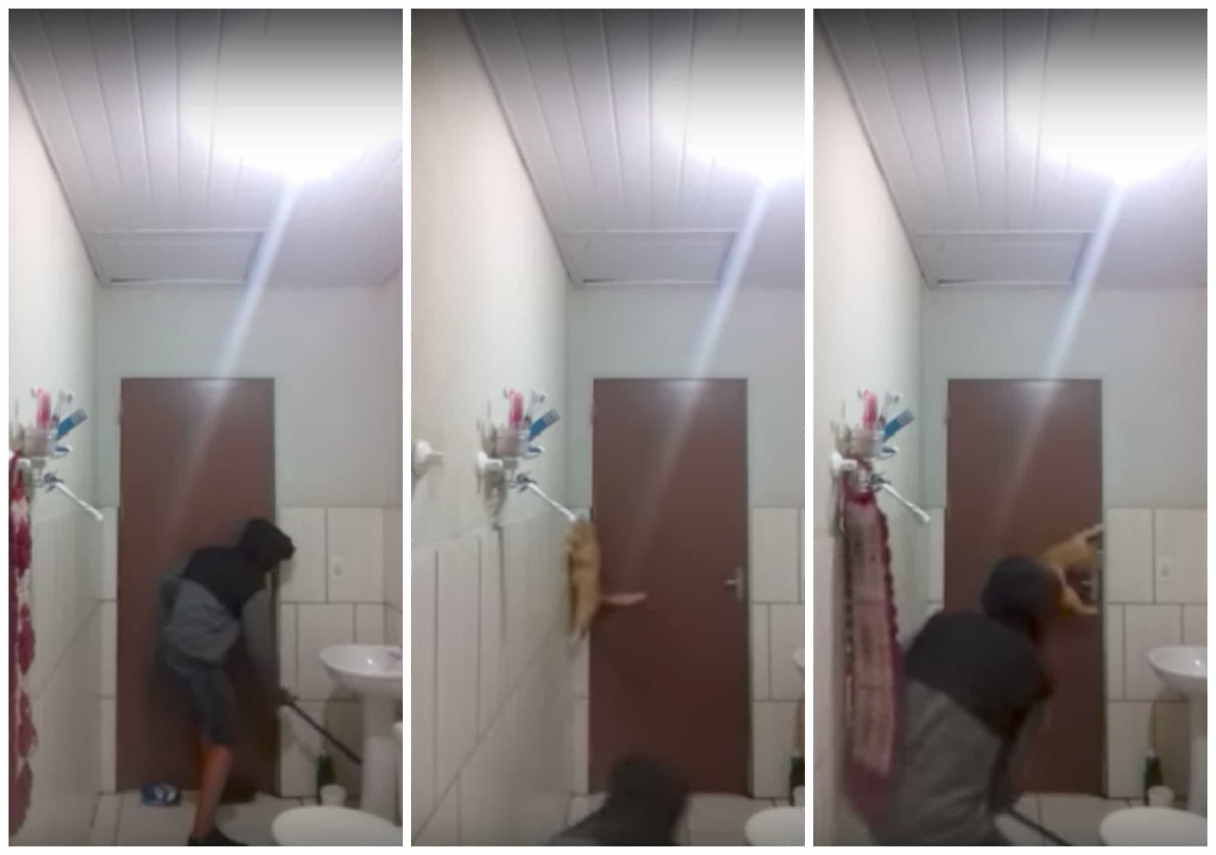 Joven y gato asustados por ratón en un baño. Pulzo.