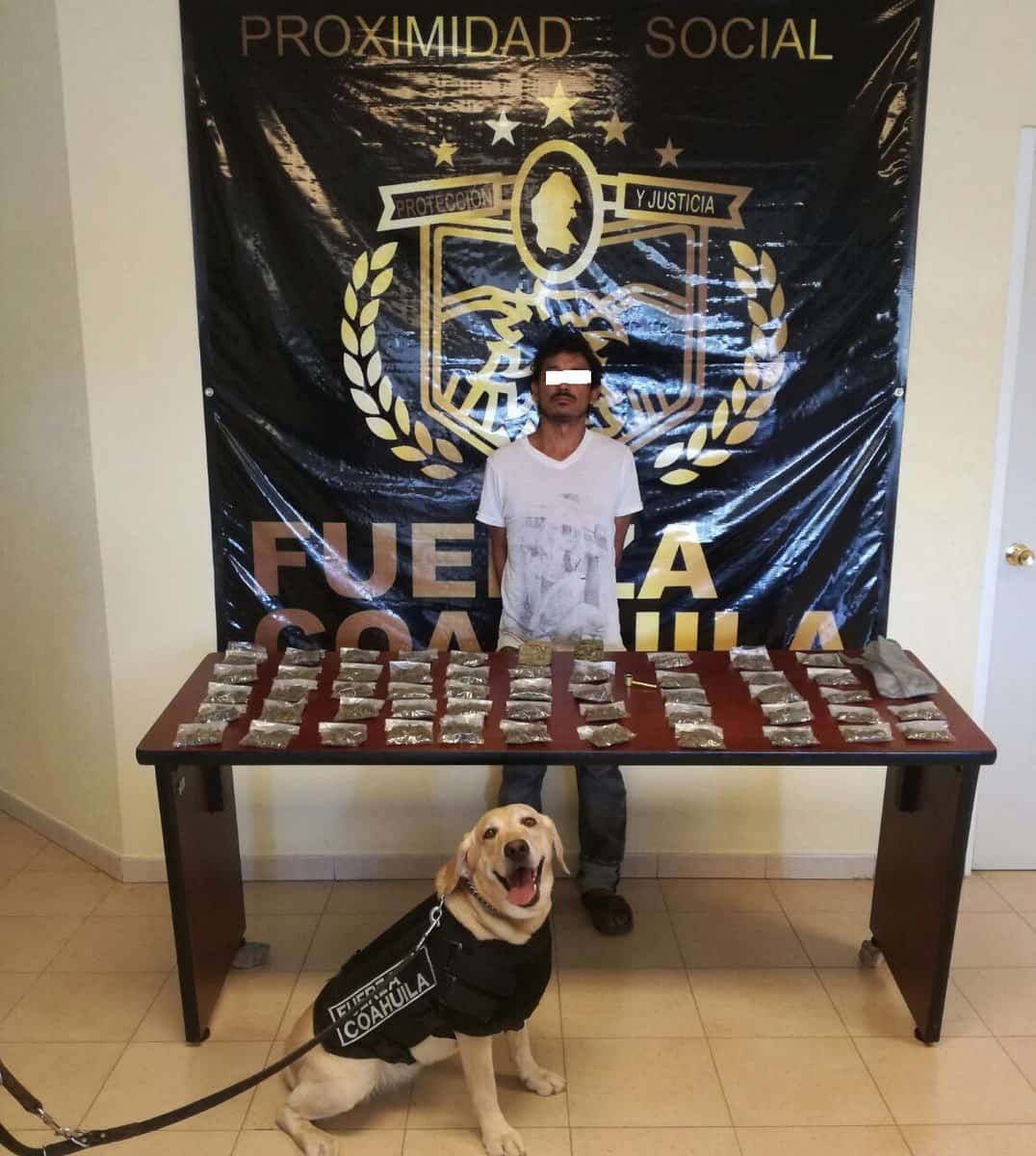 Perro policía