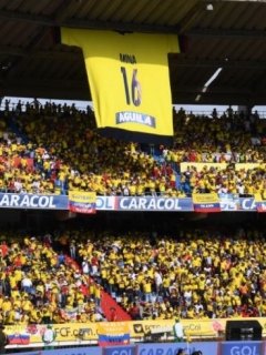 Hinchas de Colombia