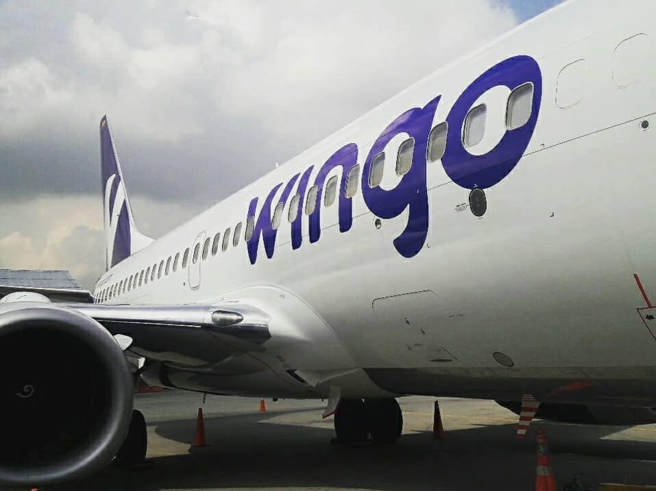 Wingo
