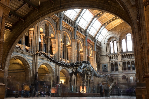 Museo de Historia Natural