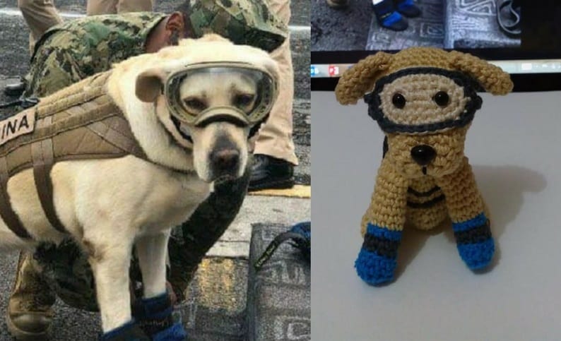 Frida, perra rescatista