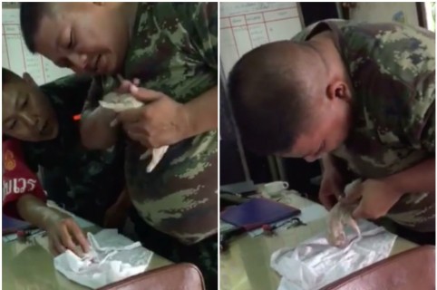 Soldado resucita a un perro. Pulzo.