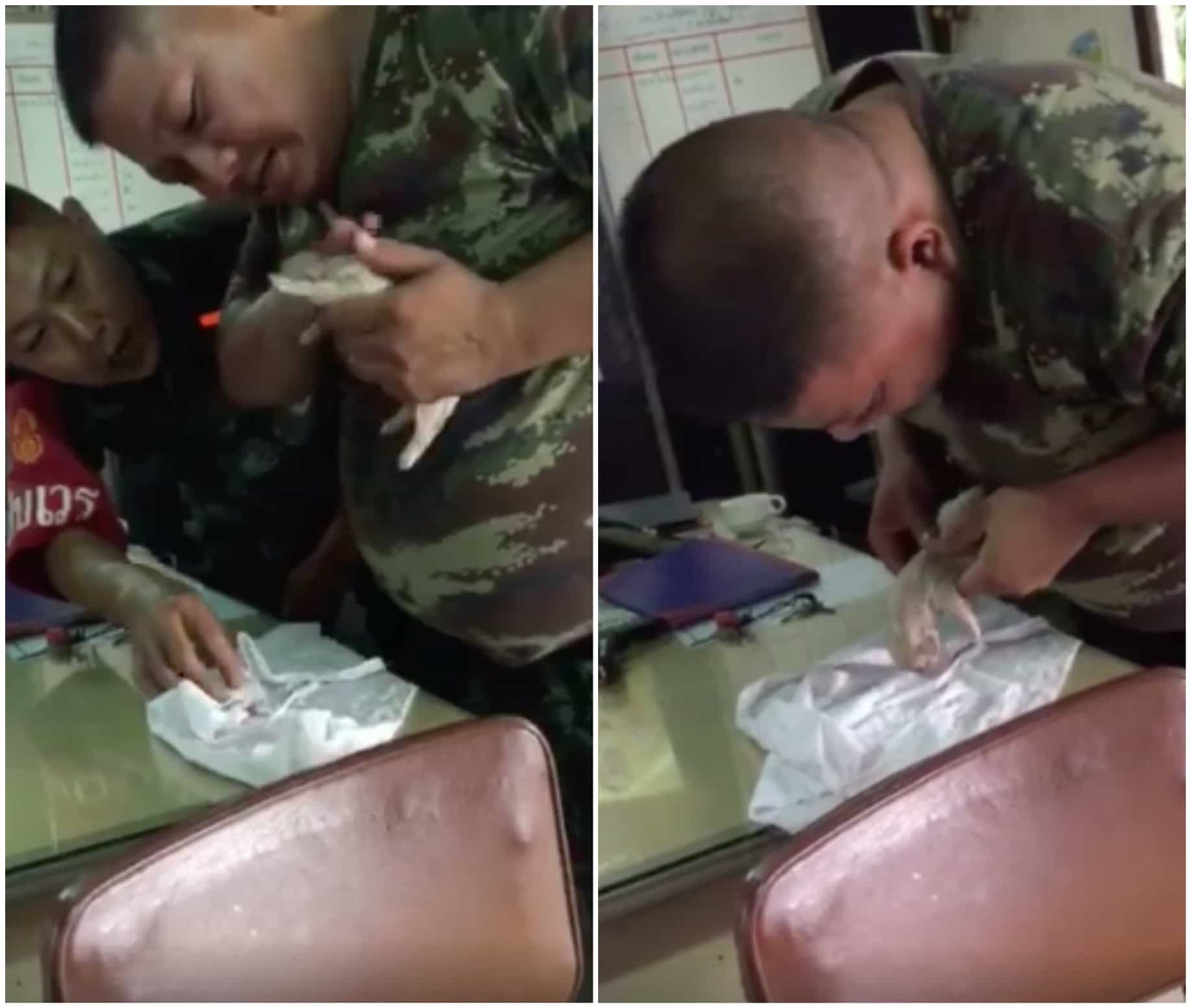 Soldado resucita a un perro. Pulzo.
