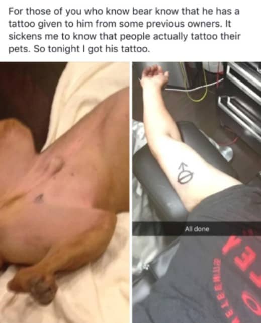 Joven se tatúa marca de castración de su perro. Pulzo.