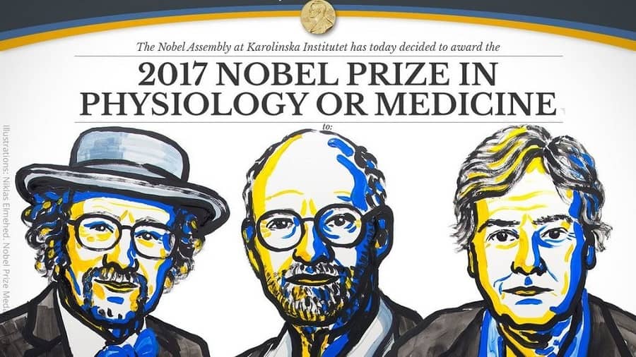 Jeffrey C. Hall, Michael Rosbash y Michael W. Young