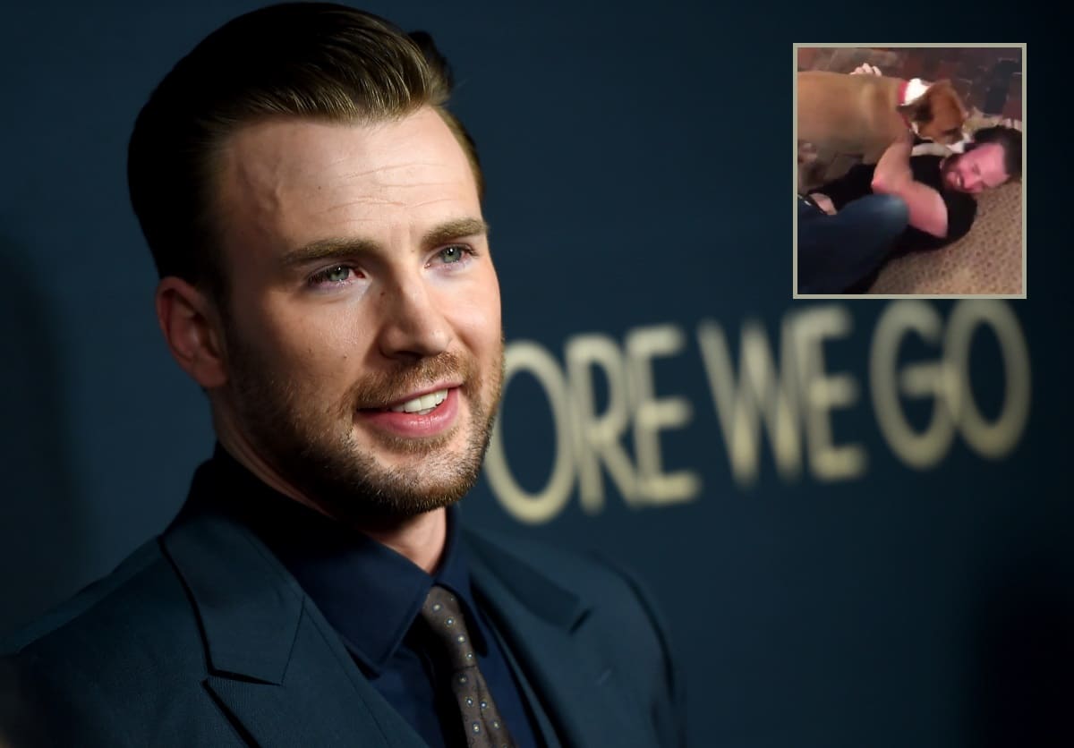 Chris Evans, actor.