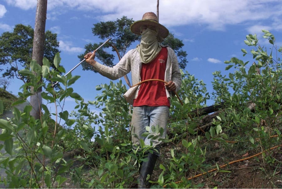 Cocalero