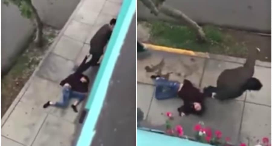 Mujer arrastrada por el novio.