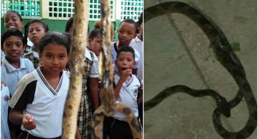 Estudiantes de colegio y una serpiente. Pulzo.