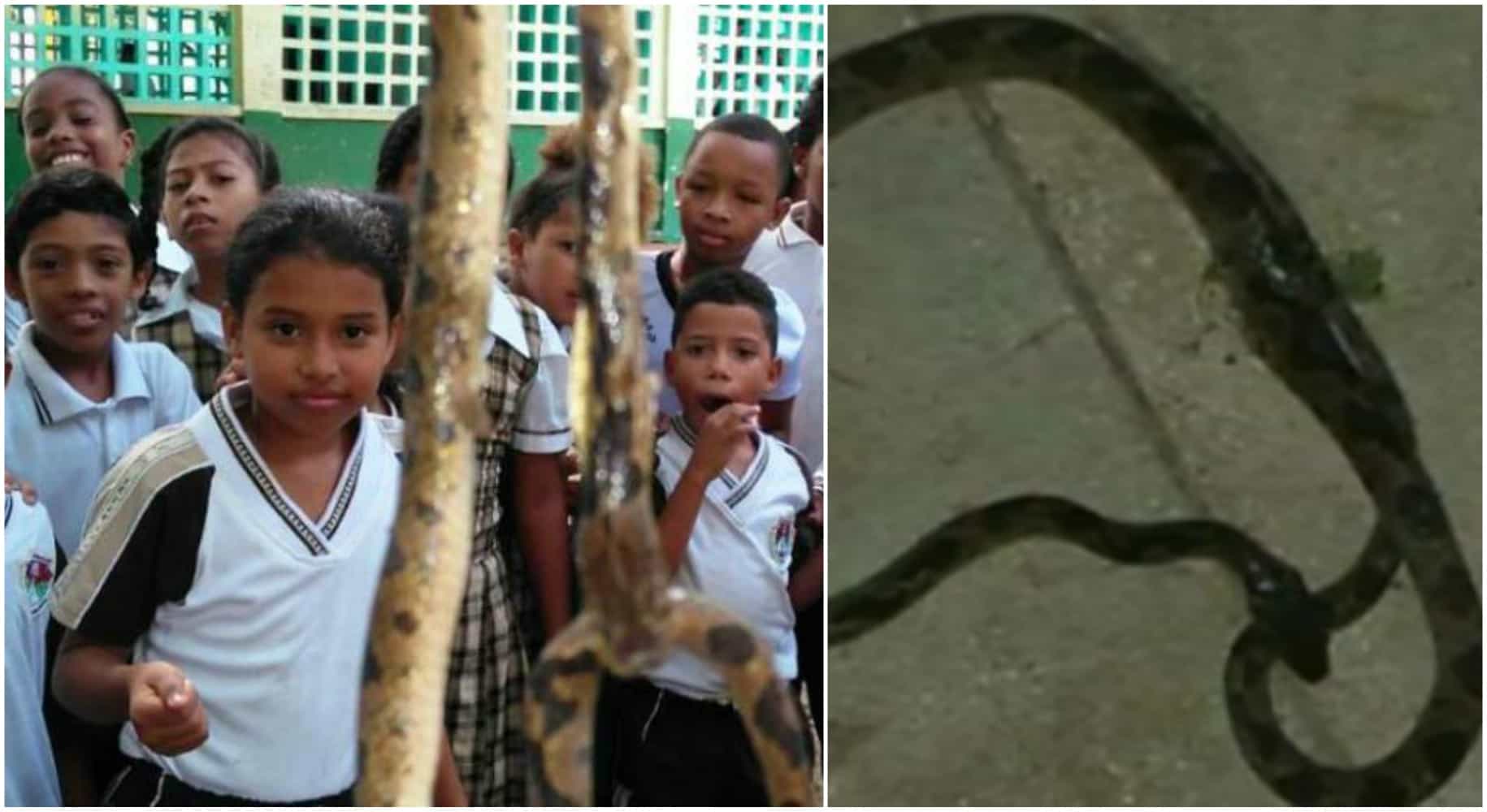 Estudiantes de colegio y una serpiente. Pulzo.
