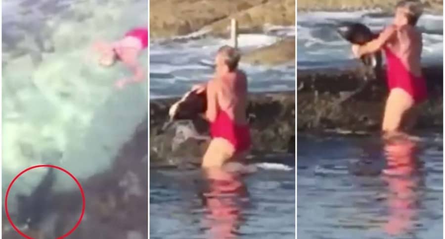 Mujer rescata a tiburón.