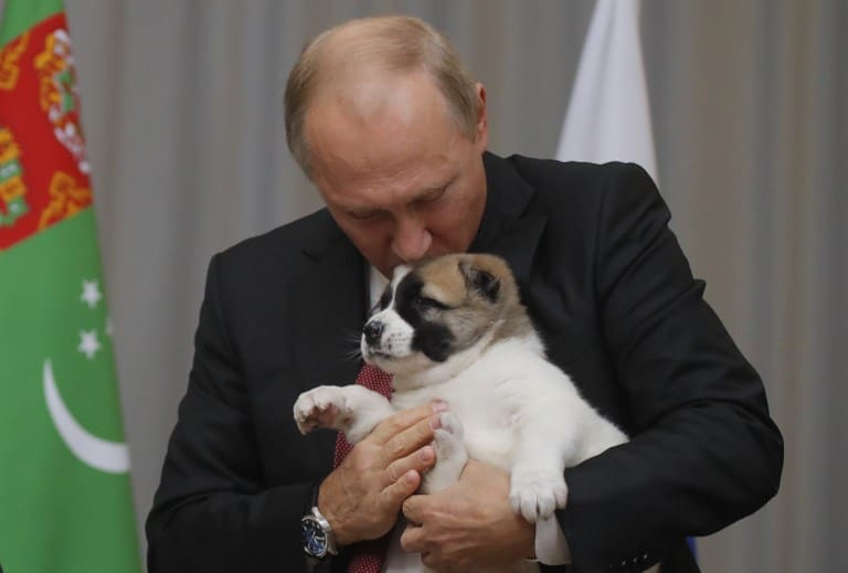 Vladimir Putin y su nuevo perrito. Pulzo.