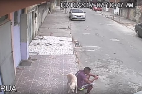 Perro orina a joven. Pulzo.