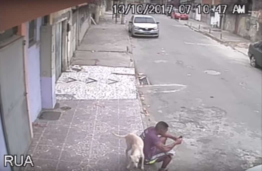 Perro orina a joven. Pulzo.