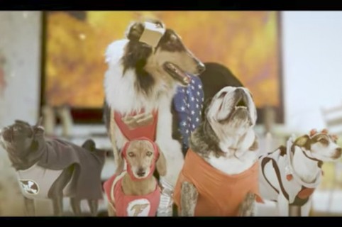 Parodia con perros de 'La Liga de la Justicia'. Pulzo.