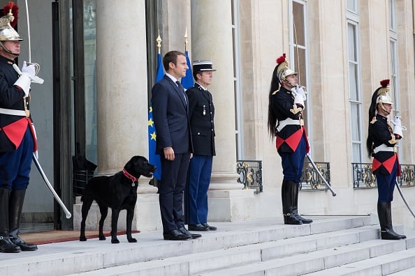 Macron y el perro