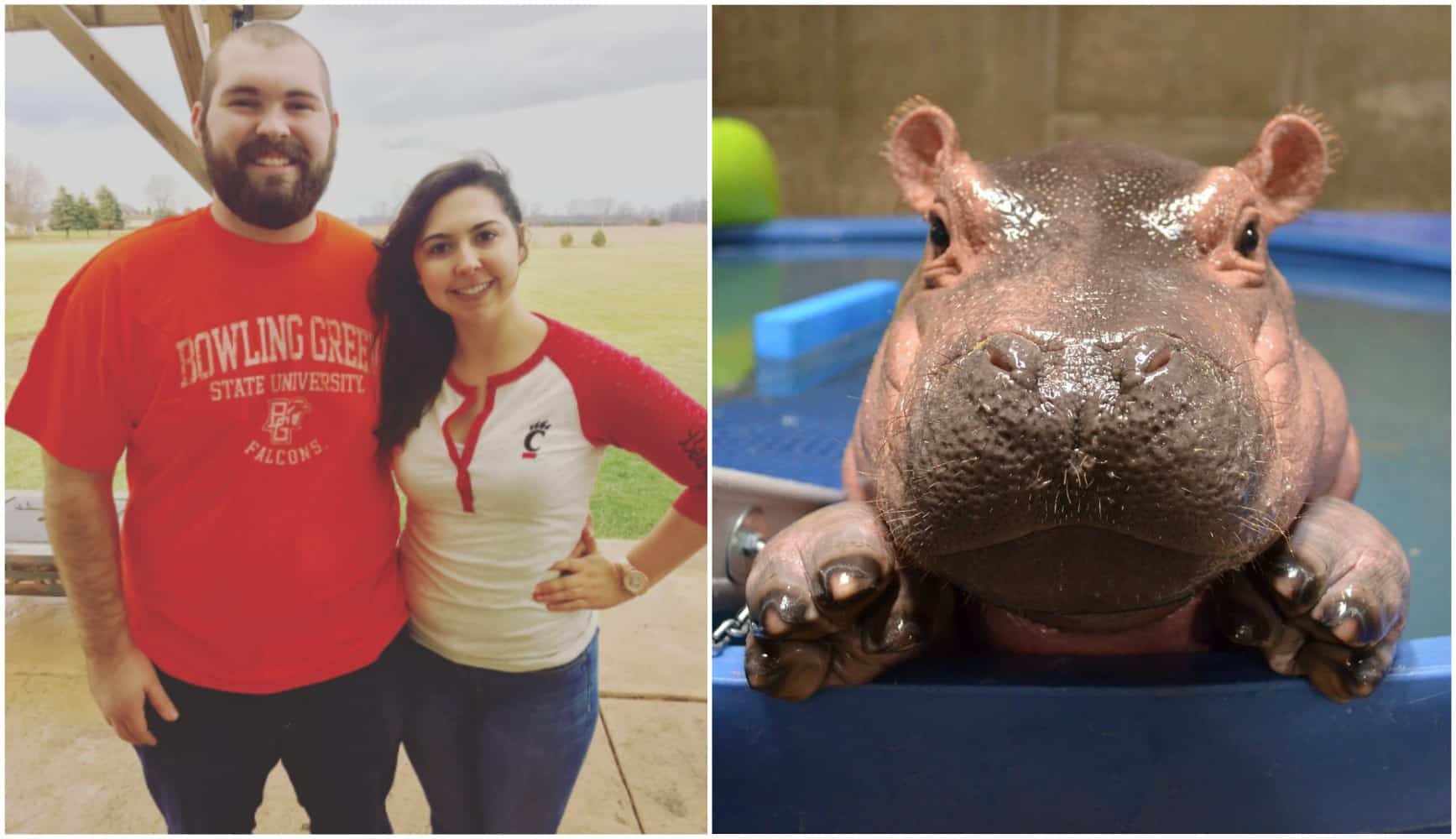 Pareja y la hipopótama Fiona. Pulzo.