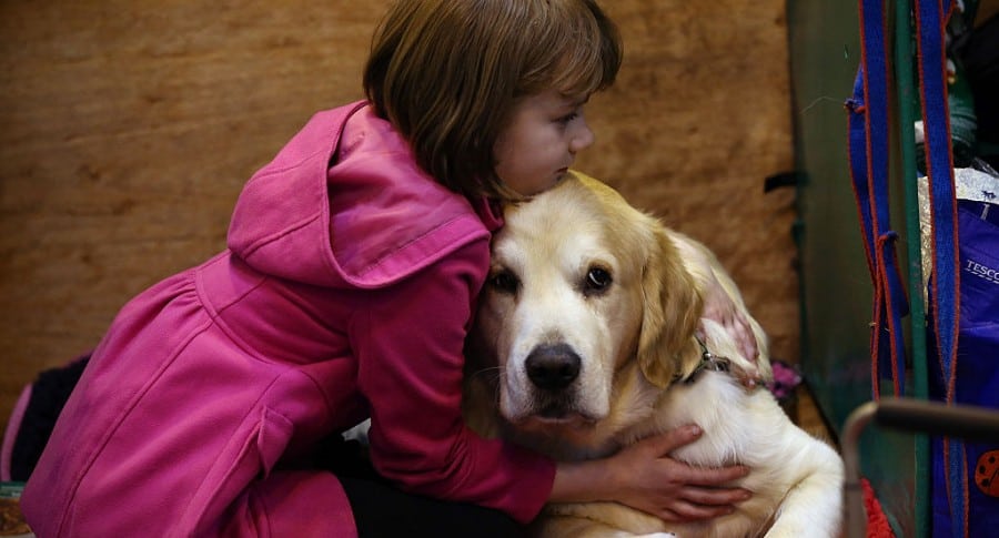 Niña y su perro. Pulzo.