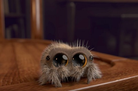Araña animada Lucas. Pulzo.