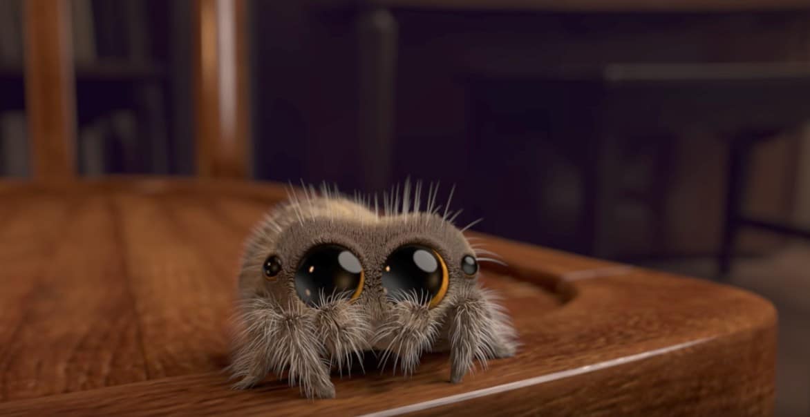 Araña animada Lucas. Pulzo.