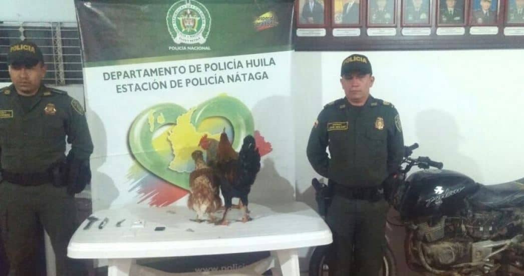 Policía de Huila