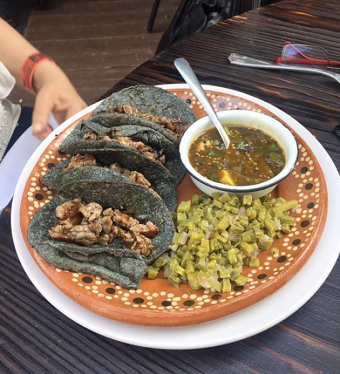 Tacos mexicanos y nopal