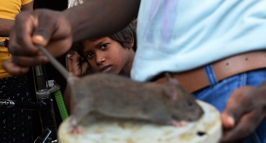Pobreza en India