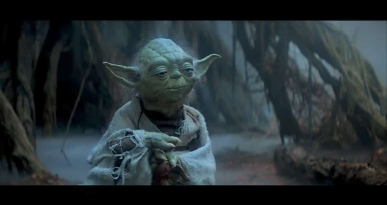 Yoda. Pulzo.