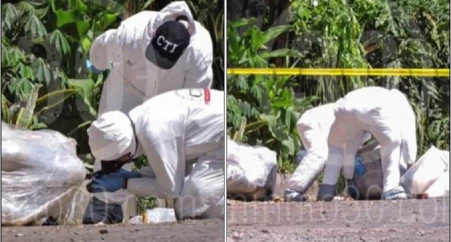 Investigadores analizan cuerpos hallados