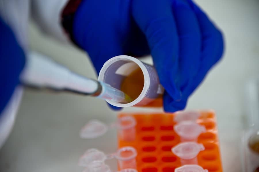 Experimento con bacterias