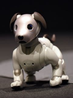 Aibo