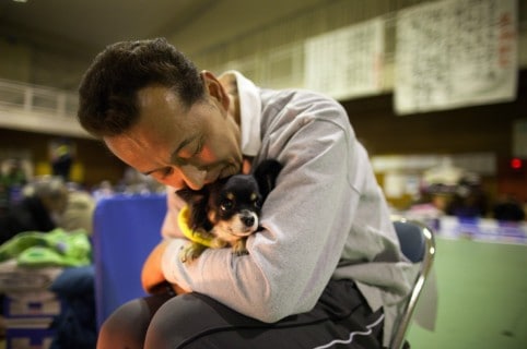 Hombre abraza a perro. Pulzo.
